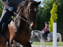 IMG_0629_web